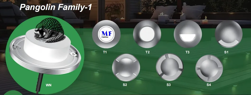 Pathway Walkway LED Inground Light DC12V 2W 3W Underground IP68 Waterproof Outdoor Deck RGB