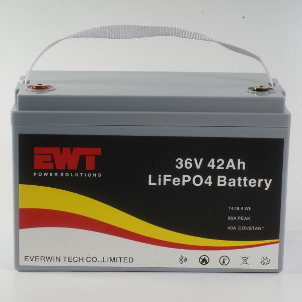 Plastic Casing Lifepo4 Battery Pack 36V 42AH for Outdoor BBQ Energy Storage Power Supply
