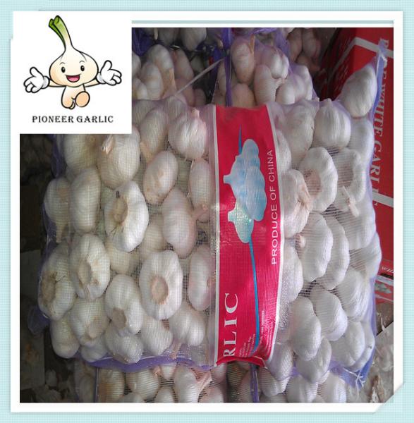 China farm fresh organic garlic wholesale price Fresh White Garlic Exporter In China