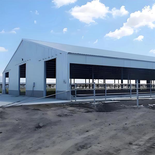 Prefab Steel Chicken House with PVC Membrane Roof