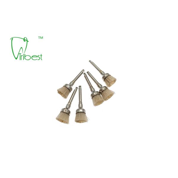 White Bristle Brush Dental Polishing Kit Teeth Polishing Brush