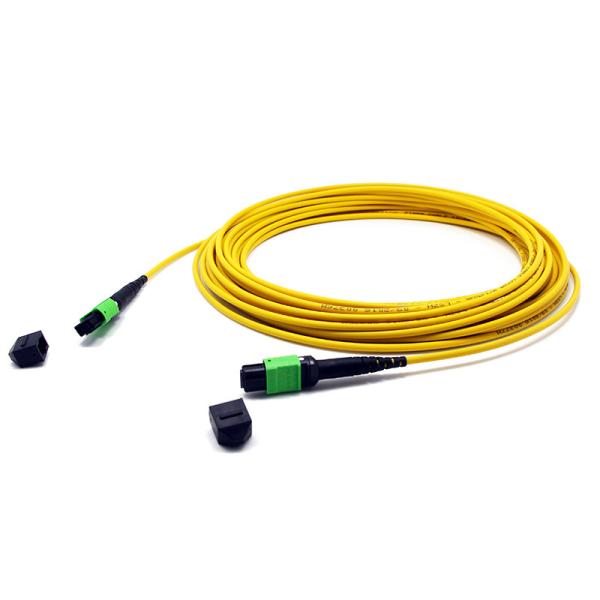 Femelle de 24 fibres MPO aux mètres faits sur commande femelles monomodes de corde de correction de 3.0mm LSZH MPO de MPO