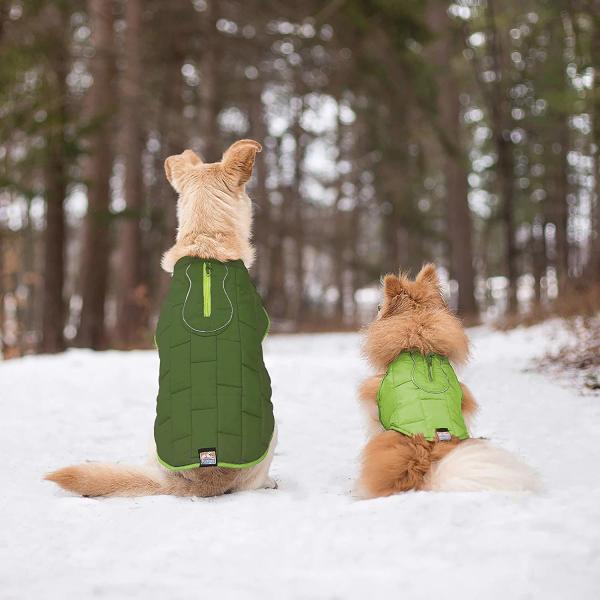 O animal de estimação impermeável por atacado da fábrica veste a veste do cão