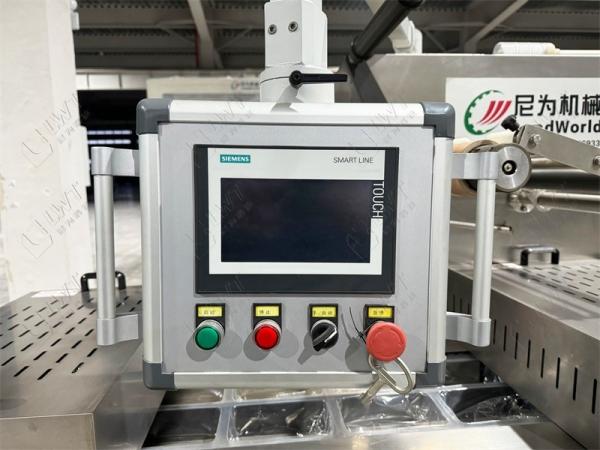 Máquina de embalagem de pele de vácuo de arroz de frutas secas