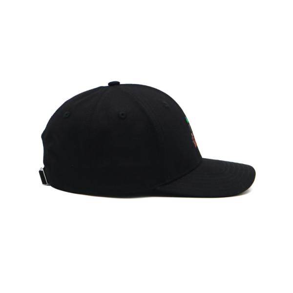 Plastic Snap Embroidered Baseball Caps 5/6 Panel Cotton Sport Dad Cap Fashion