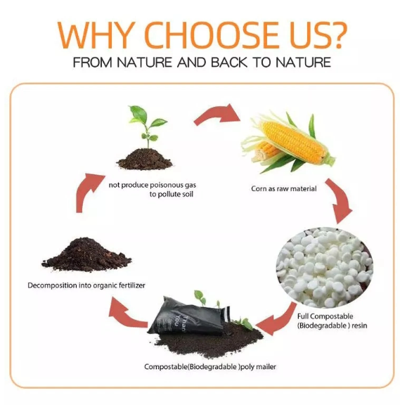 Plastic Padded Mailer Bags biodegradable For Clothing Shoes