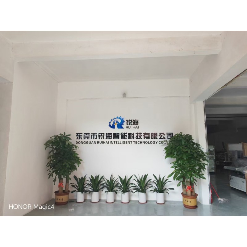 Dongguan Ruihai Intelligent Technology Co., Ltd.