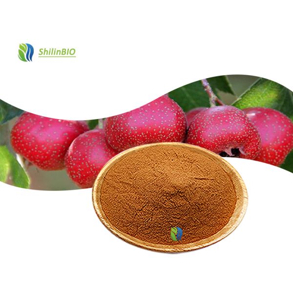 SLBIO Supply Hawthorn Leaf Berry Extract Flavonoids 5%-50% Plant Extract Hawthorn Extract Powder