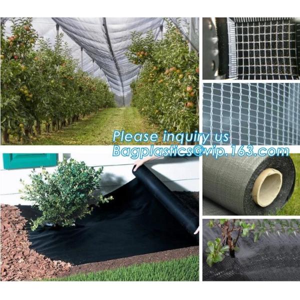 Плантатор сада пластмассы полиэтилена ЛДПЭ кладет в мешки для овоща, дерева и саженец цветка, ЛДПЭ пластмассы отверстия 15 ГАЛЛОНОВ растет б