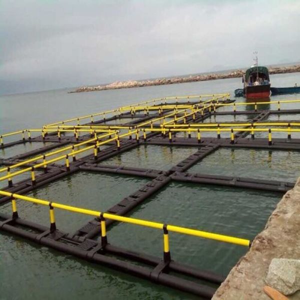 Square Floating Aquaculture Cage Heavy Duty HDPE Net Cage Windproof Anti-Corrosion Fish Breeding Cage for Lake Reservoir Tilapia Industrial Culture