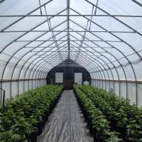 Luz Greehouse seguro do diodo emissor de luz com sistema de ventilação automático e sistema da proteção