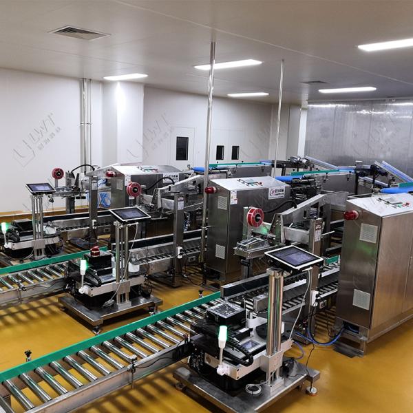 Линия для производства свиных ребрышек в пакетиках с кисло-сладкой начинкой