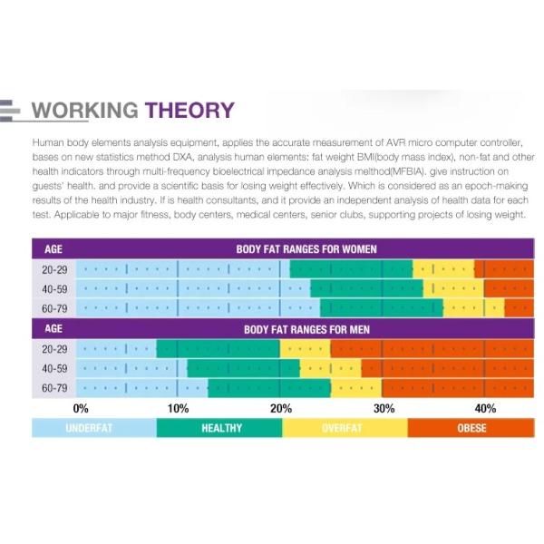 Professional Body Composition Analysis Machine Percentage Of Body Fat Analyzer with Printer