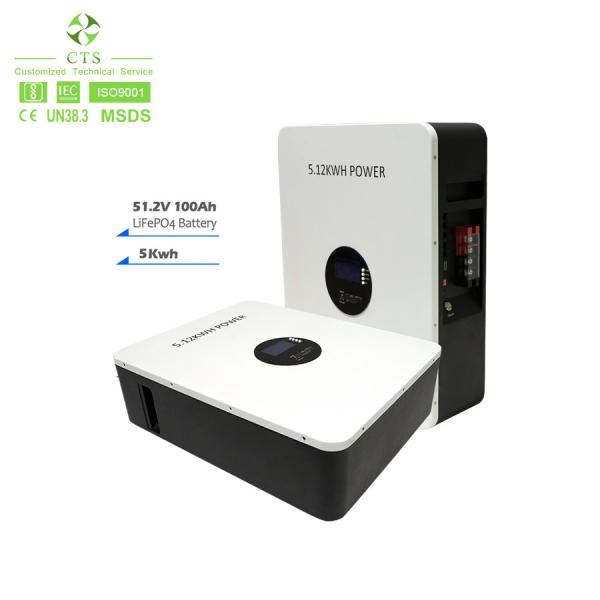 Household Solar Energy Storage System with 5kWh 51.2V 100Ah LiFePO4 Battery PowerWall