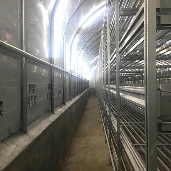 Heat Preservation Heavy Duty Plastic Greenhouse With Customized Length