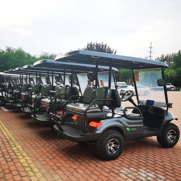 Сеатер электрической тележки для гольфа ОДМ 30мх 4 ЭВ вся местность для курорта отдыха клуба