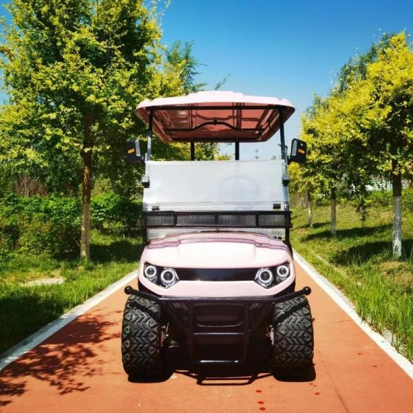 Розовый цвет 60В 4КВ система переменного тока EV Golf Cart Новая энергия внедорожный электрический гольф-карт