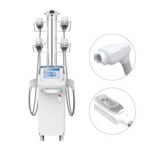 360°Cryolipolysis Slimming Machine , Fat Freezer Cryolipolysis System