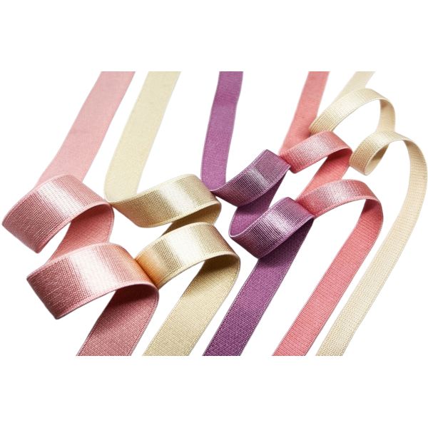 DANSKY High Quality Nylon Shiny Stain Bra Elastic Webbing Strap Elastic Band for Women Bra