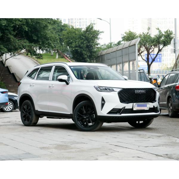 Места двери 5 компакта SUV 5 поколения 2.0T автоматические 2WD Макс Haval H6 2021 третьи