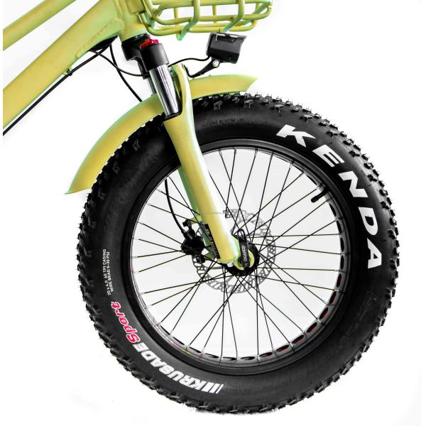 48V Disc Brake Dual Batteries Fat Snow Big Tire Electric Cargo Bicycles for Family 2