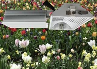 1000 Watts Safety Indoor Grow Lights , Energy Saving CMH Grow Light For Weed