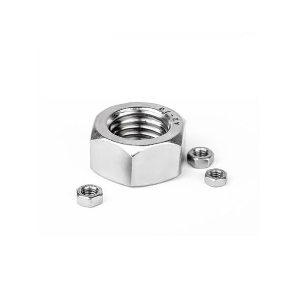 Ss304 Hex Head Nut Stainless Steel ANSIB18.2.2 Grade 4.8 Nut for Heavy Duty Applications
