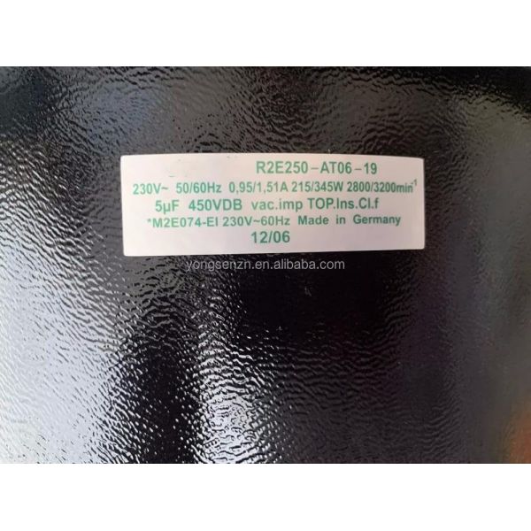 R2E250-AT06-19 230V 50/60Hz Centrifugal Fan for Danfoss FC302 90kw to 400kw IP20 Inverter