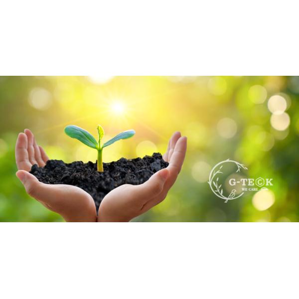 10% Zinc Chelated Amino Acid Water Solubility 100% Organic Fertilizer Powder