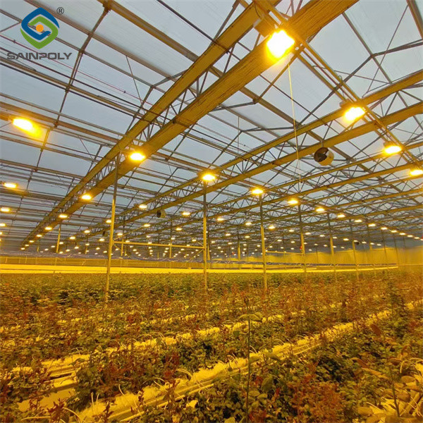 Uv Protection Transparent Flower Garden Greenhouse Easy To Assemble