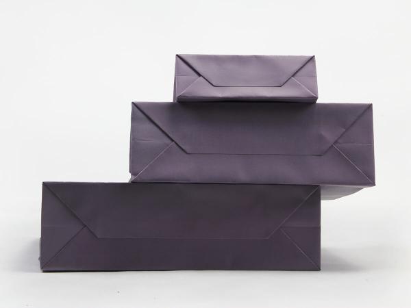 Professional Personalized Paper Bags Iridescent Paper Garment Shopping Bags Set