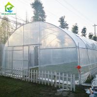 Filtro de plástico de túnel baixo e durável Polihouses Estufas para cultivo de tomates
