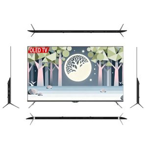 55 Inch 4K Smart Google OLED TV With HDR 60Hz Refresh Rate Google Android TV