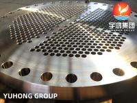 ASTM A182 F316L Folha de tubo de aço inoxidável para trocador de calor