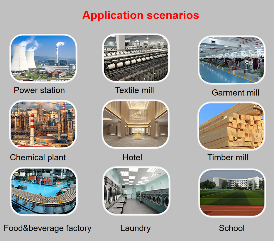 Industrial Biomass Horizontal Fire Tube Water Tube Steam Boiler 2T High Pressure