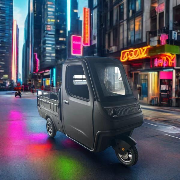Electric Mini Car Cargo Bike Trike Motorcycle with EEC Certification and High Voltage