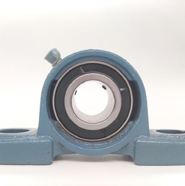 Cylindrical Bore Pillow Block Bearing Ucp 206 Carbon Steel