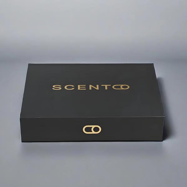 Custom Luxurious Magnetic Perfume Bottle 50 Ml With Black EVA
