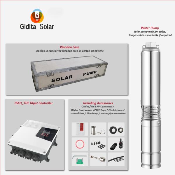 95m Max. Head 1Hp AC DC Automatic Switchover 3 Inch Solar Submersible Impeller Pump