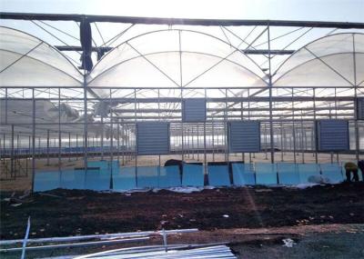 Large Plastic Cover Greenhouse Hot Galvanized Skeleton With Strong Ventilation Ability