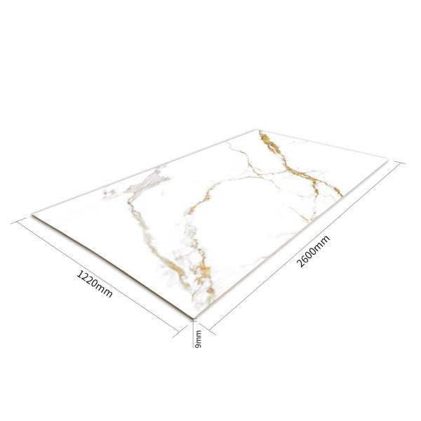 Anti painel corrosivo de Wpc para a decoração 1.22mx2.8m da parede da casa