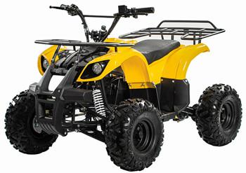 Bicicleta elétrica da roda de Off Road 4 todos os veículos CPSC quatro Wheeler Off Road do terreno