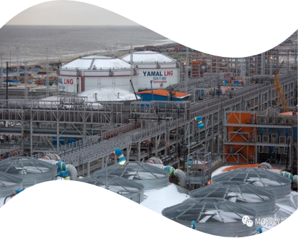 Grade 2 6MM Steel Pipe Fitting 309S 310S Titanium Alloy Pipe Fittings