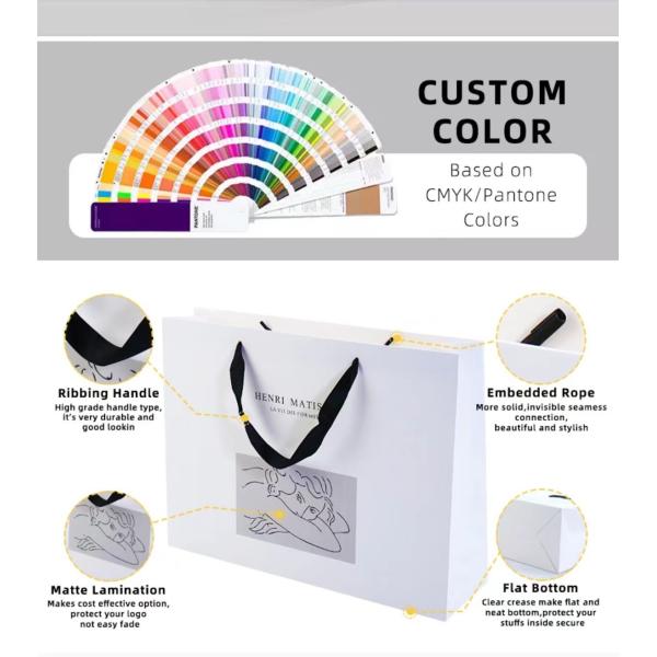 Brown Colorful Paper Carrier Bags With Twist And Lylon Handles Shopping Bags