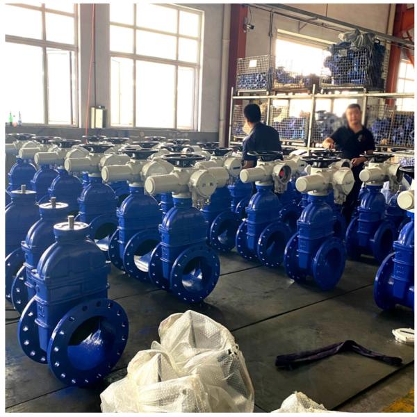 DN150 PN16 WCB NKZ961H Electric Flange Vacuum Gate Valve for Customized Requirements