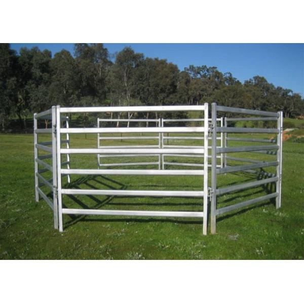 6 Rails 3m Tall Heavy Duty Cattle Panel Free Standing