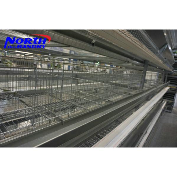 poultry chicken layer cage /poultry farm cage /broiler cage equpments