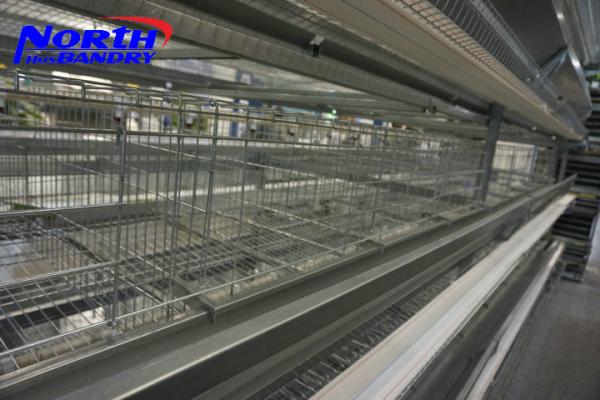 H type best price poultry farm egg layer chicken cages