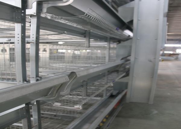 Healthy Automated Poultry Equipment Good Daylight And Ventilation