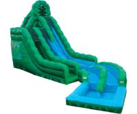 Toboganes acuáticos esmeralda de la diversión de la rana verde, diapositiva mojada del resbalón doble inflable de la precipitación